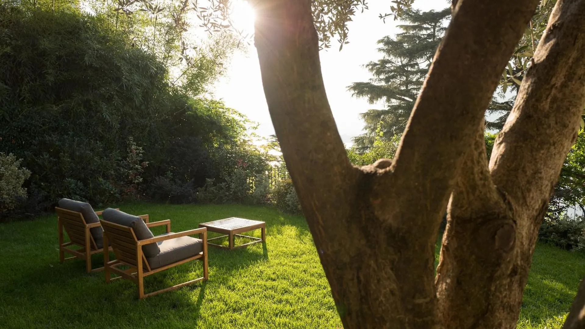 Apartment Villa Olivo Blevio Italy