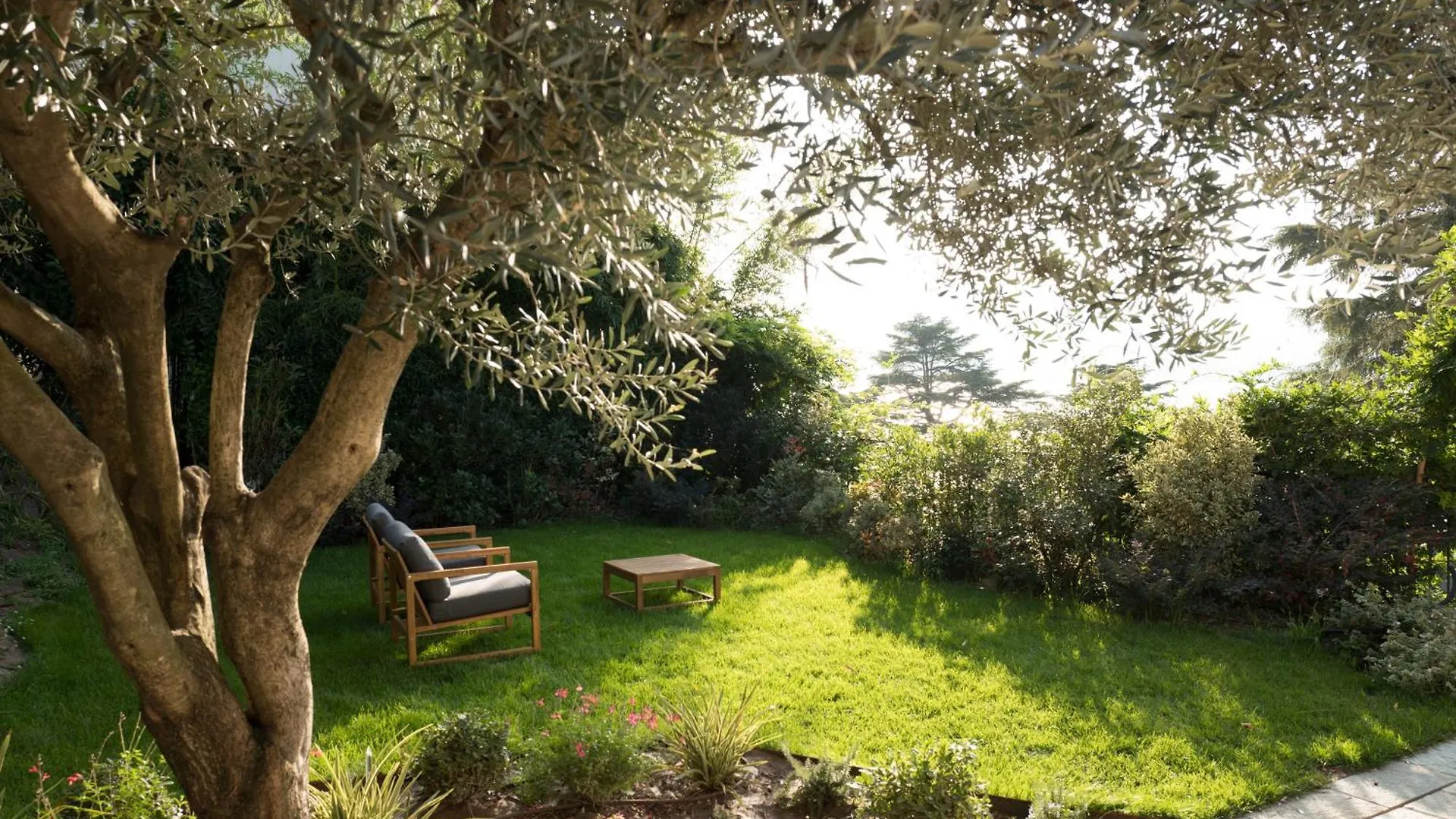 Apartment Villa Olivo Blevio